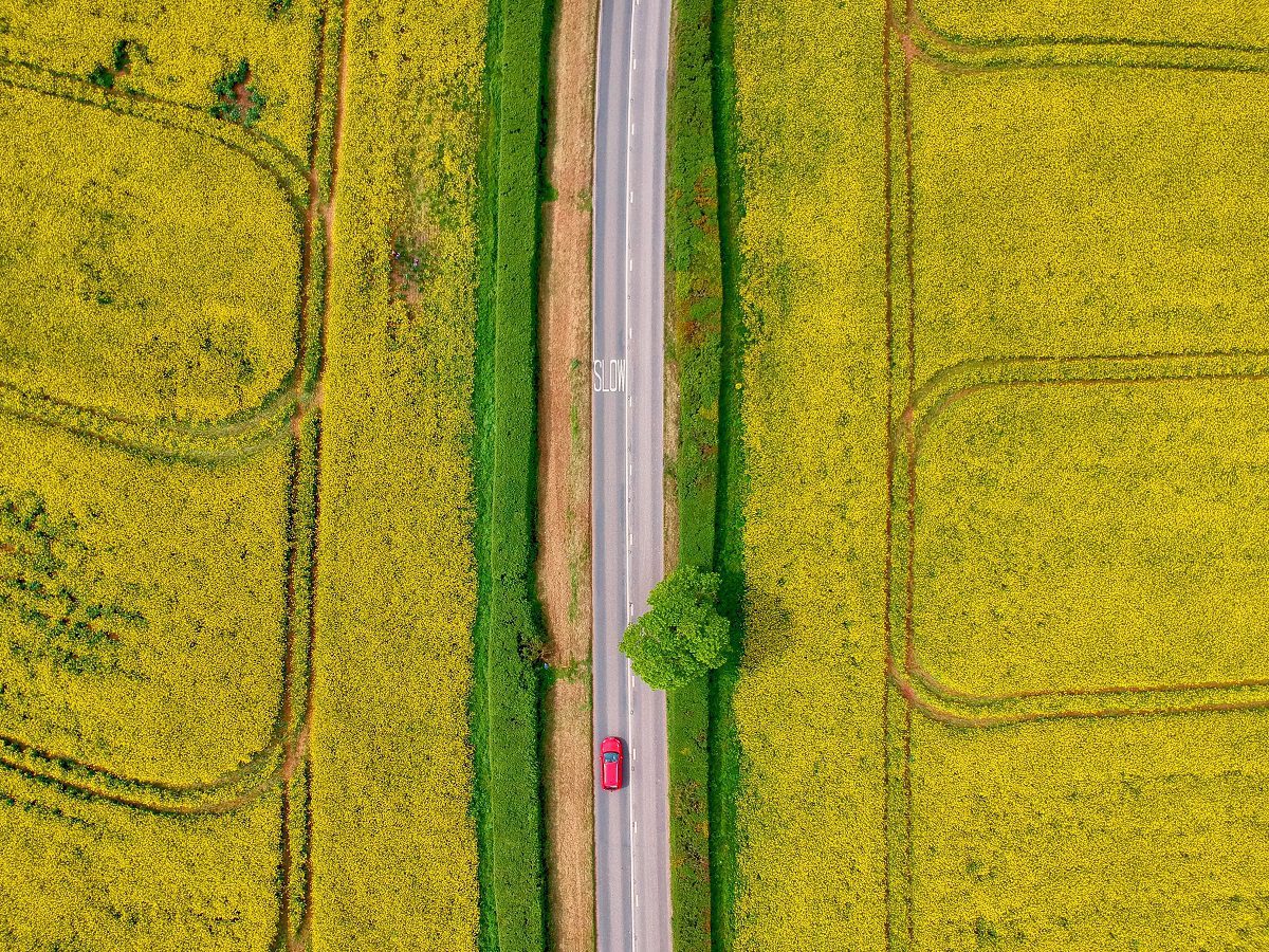 Devon Countryside Road